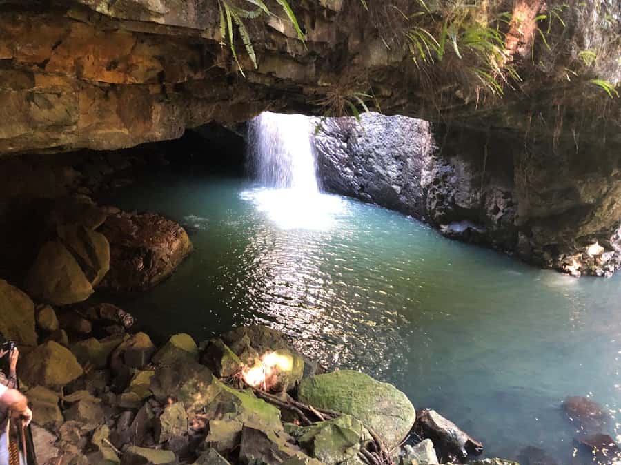 Brisbane: Springbrook and Mt Tamborine Glow Worm and Skywalk - Scenic Rim countryside and Mt Tamborine viewpoints: the altitude shift