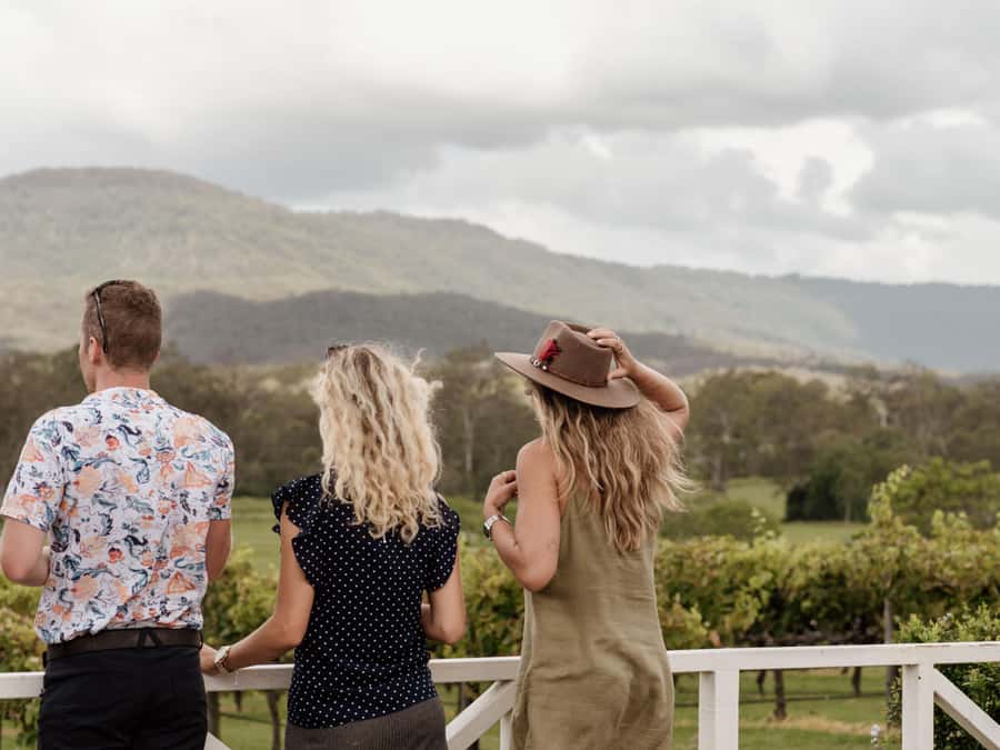 Brisbane: Tamborine Mountain Local Winery Tour with Lunch - How the 6-hour plan actually feels in real life