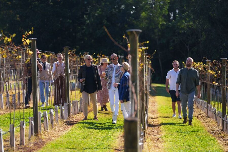 Brisbane: Tamborine Wine & Distillery Tour - Timing and Value: Is $134 for 8 Hours Fair?