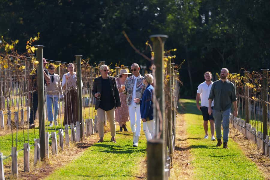 Brisbane: Tamborine Wine & Distillery Tour - Who This Tour Suits Best (and Who Might Want Another Option)