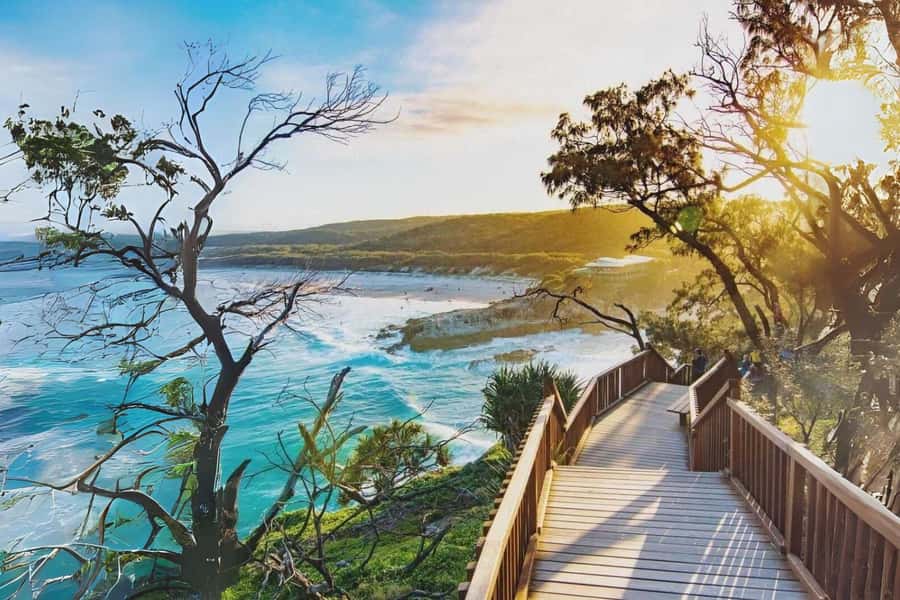 Brisbane to North Stradbroke Island Day: Wildlife & Beaches - Eco-certified Straddie: what makes this day trip worth your time
