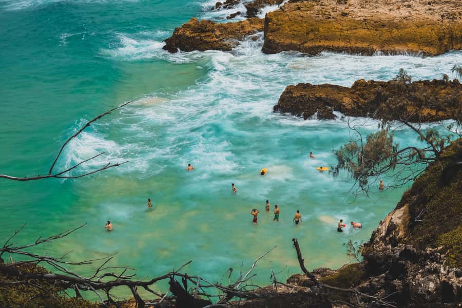 Brisbane to North Stradbroke Island Day: Wildlife & Beaches - Wildlife viewing rules that keep the experience real
