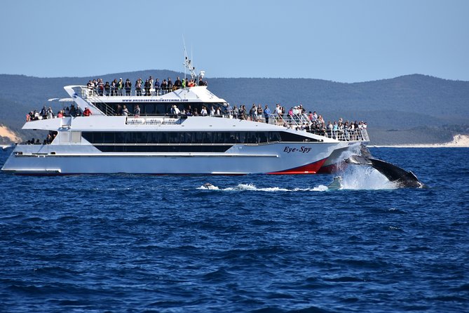 Brisbane Whale Watching Cruise from Redcliffe or Sunshine Coast - Onboard extras, bar costs, and souvenir stops