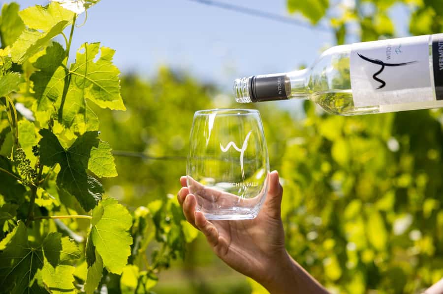 Brisbane: Wine Tasting - Hop on Hop off Tour to Mt Tamborine - Small Group Size, Live Guide, and Skip-the-Line Details