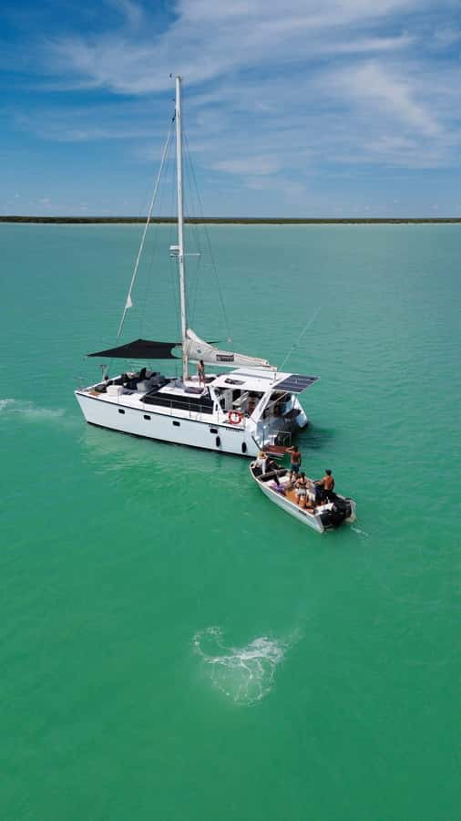 Broome Cruise & Catch: Mud Crab Adventure & Wildlife Cruise - Quick highlights