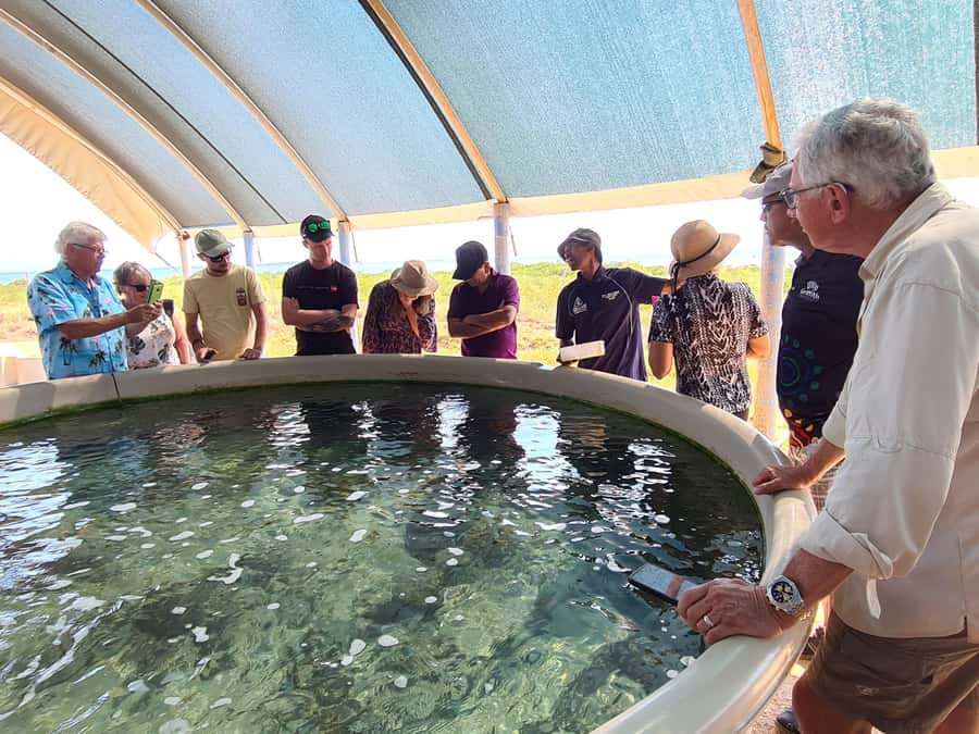Broome: Dampier Peninsula Tour (Optional Scenic Flight) - Key Highlights to Know Before You Go