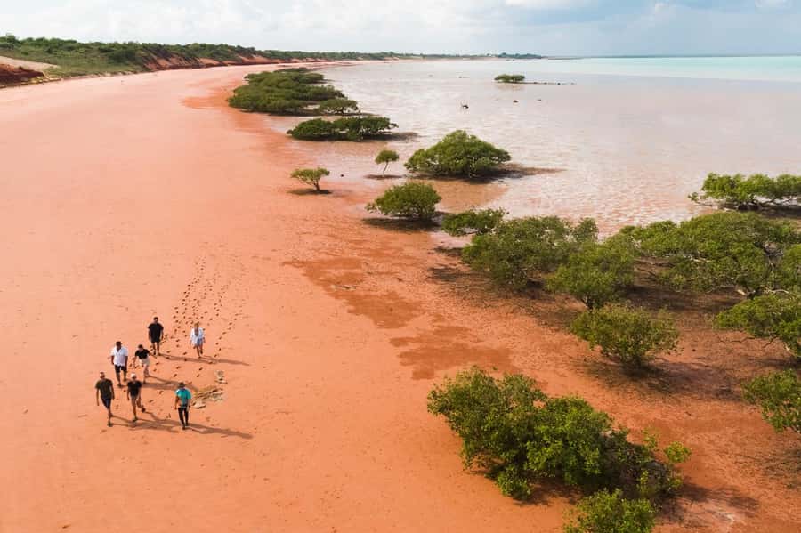 BROOME: DINOSAUR ADVENTURE CRUISE - With Tapas and Cocktail - Practical tips before you go, based on what the tour requires