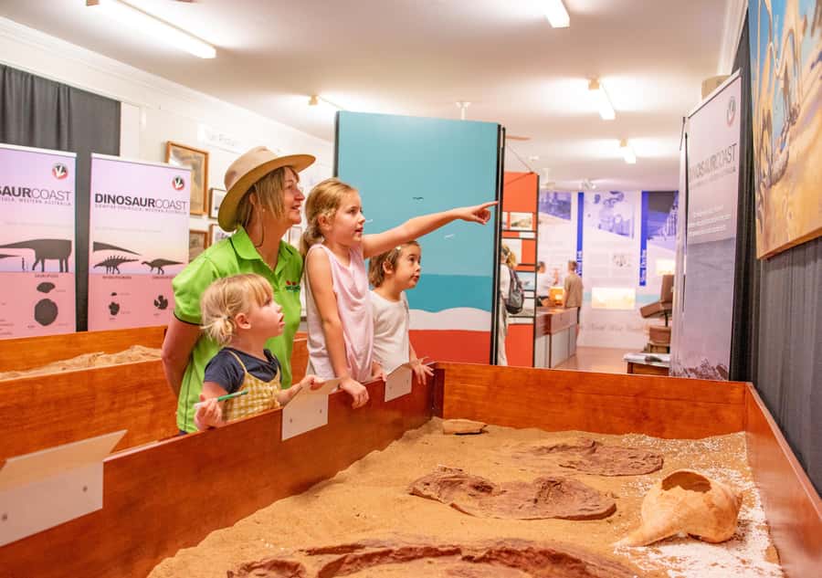 Broome: Matso's Brewery, Museum & Crocodile Park Combo Tour - Price and value: what $92 covers, and what costs extra