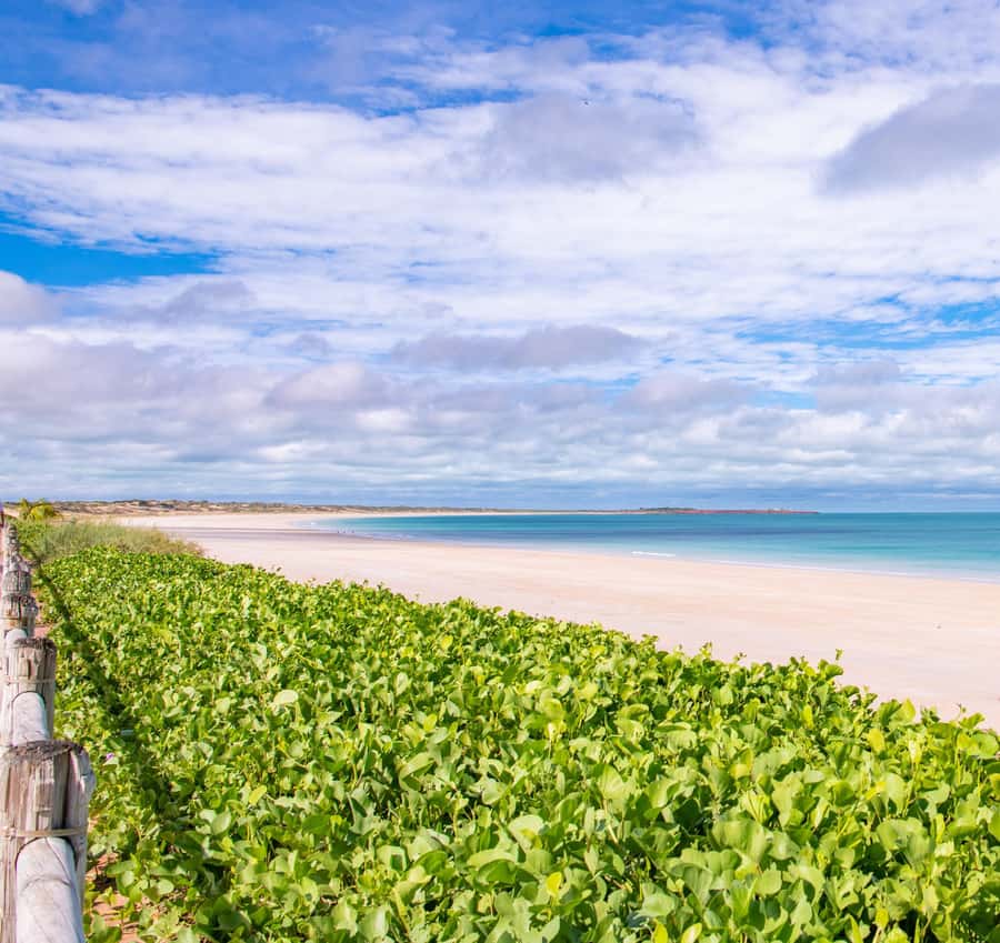 Broome: Panoramic and Discovery - Morning Tour w/ Transfers - Key Stops and Why They Matter Most