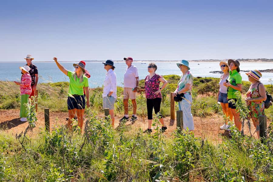Broome: Panoramic and Discovery - Morning Tour w/ Transfers - Cable Beach Sanctuary and Lord McAlpines Extraordinary Endeavours Views