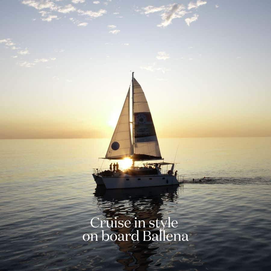Broome's Iconic Catamaran Sunset Cruise - Value for $109: What You’re Really Paying For