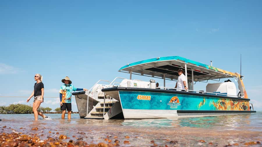 BROOME: SCENIC & PREHISTORIC CRUISE- Wine & Gourmet Platters - Brahminy Kite and the shallow-water approach that actually makes sense