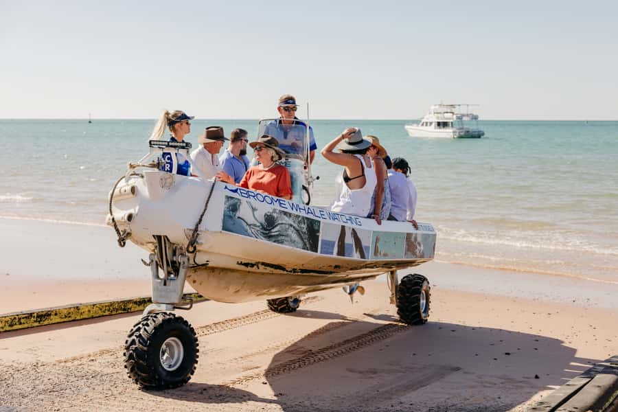 Broome: Snubfin Dolphin Cruises - Price, Timing, and Logistics: Is This Worth $116 in Broome?