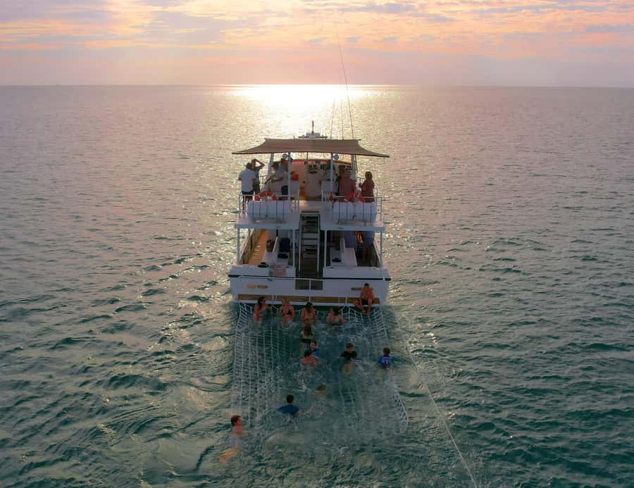 Broome: Whale Watching & Sunset Cruise - Safety briefing first, then boom net swimming (30 minutes)