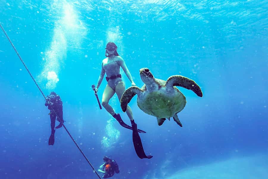 Brunswick Heads: Snorkelling in Byron Bay - Photos and videos shared daily, so you can enjoy the moment