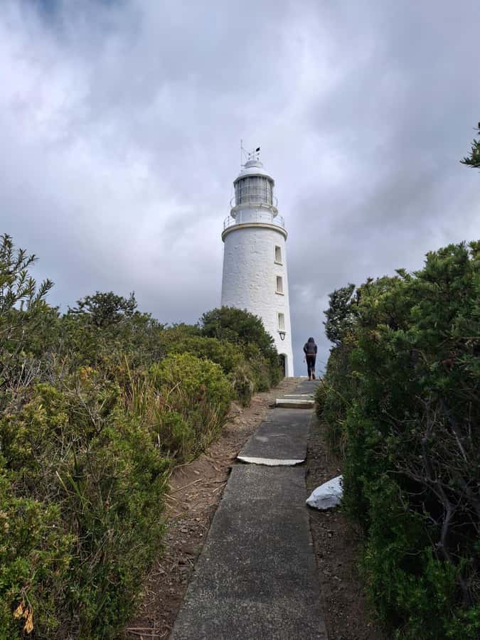 Bruny Island: Cape Bruny Lighthouse Tour - The climb to the keeper observation levels