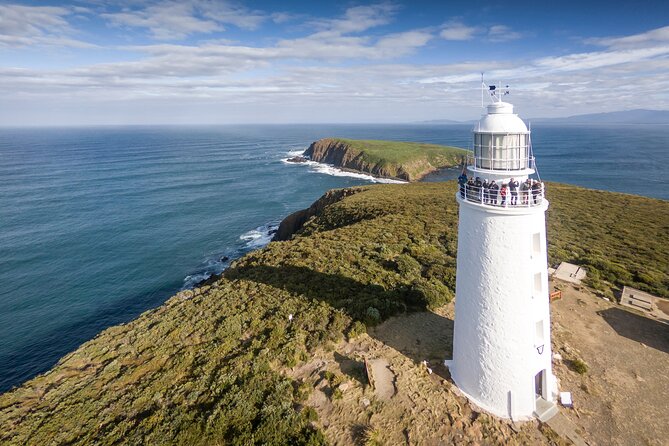 Bruny Island Food, Sightseeing, Guided Lighthouse Tour & Lunch - Key Things to Know Before You Go