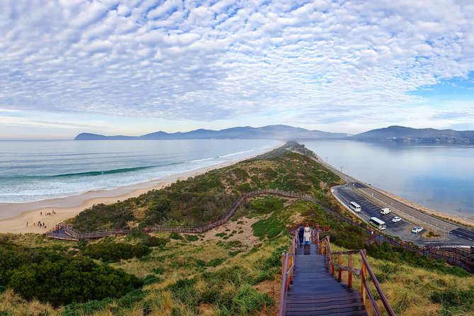 Bruny Island Food, Sightseeing, Guided Lighthouse Tour & Lunch - Cape Bruny Lighthouse: The Climb, the Whale-Spotting, and the Views