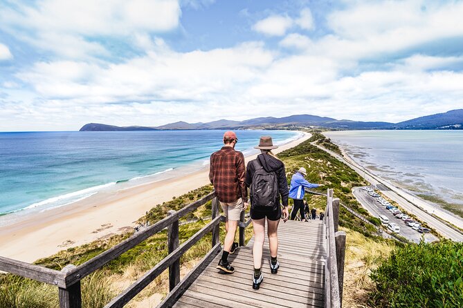 Bruny Island Food, Sightseeing, Guided Lighthouse Tour & Lunch - Adventure Bay and The Hummock: Morning Tea With Real Island Flavour