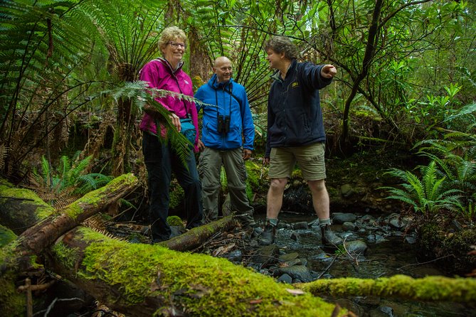 Bruny Island Traveller - Gourmet Tasting and Sightseeing Day Trip from Hobart - Price and Logistics: Is $197.24 Worth It?