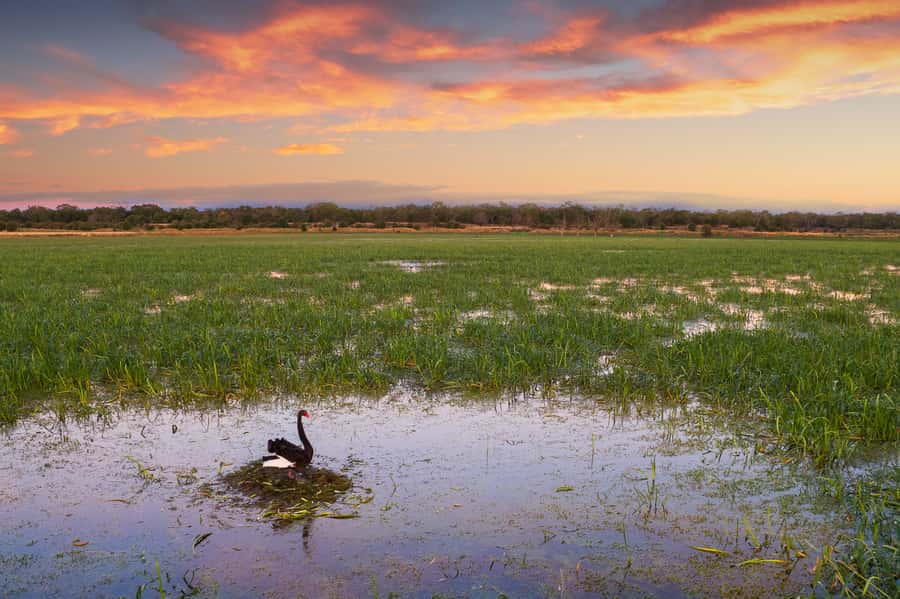 Budj Bim: Tae Rak Wetlands 2 Hour Guided Cultural Tour - Price and value: is $63 per person fair for 2 hours?