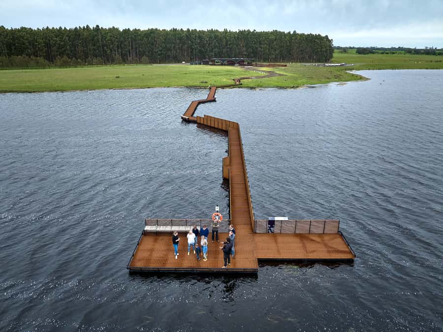 Budj Bim: Tae Rak Wetlands 2 Hour Guided Cultural Tour - Creation story meets wetlands science: why the order matters