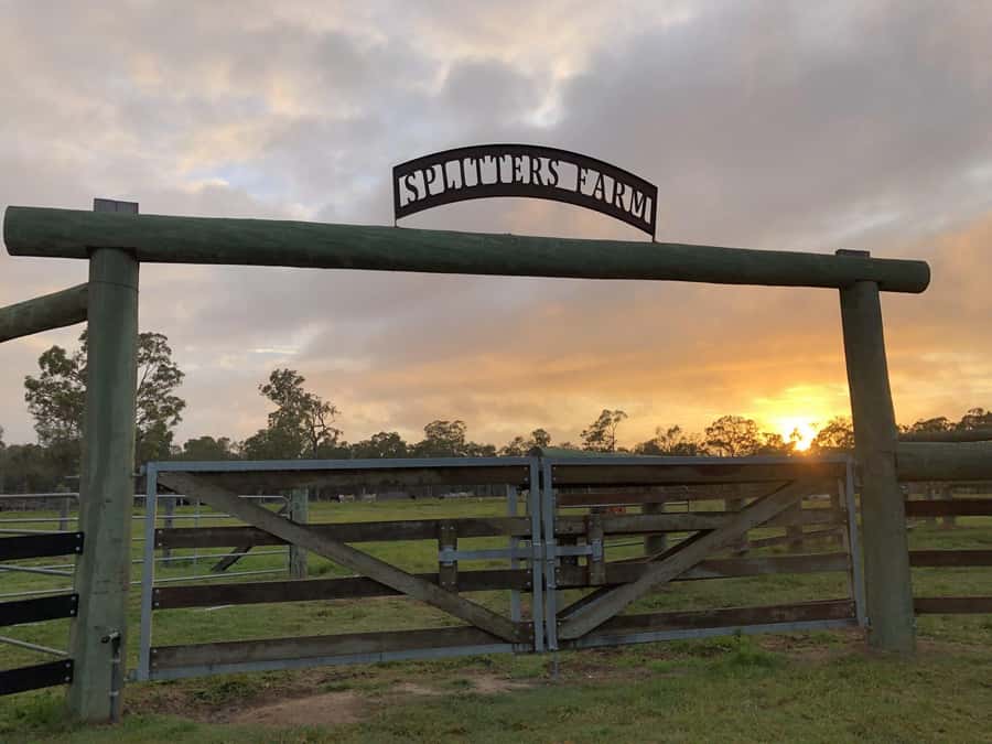Bundaberg: Family-Friendly Entry Ticket to Splitters Farm - Key Points to Know Before You Go