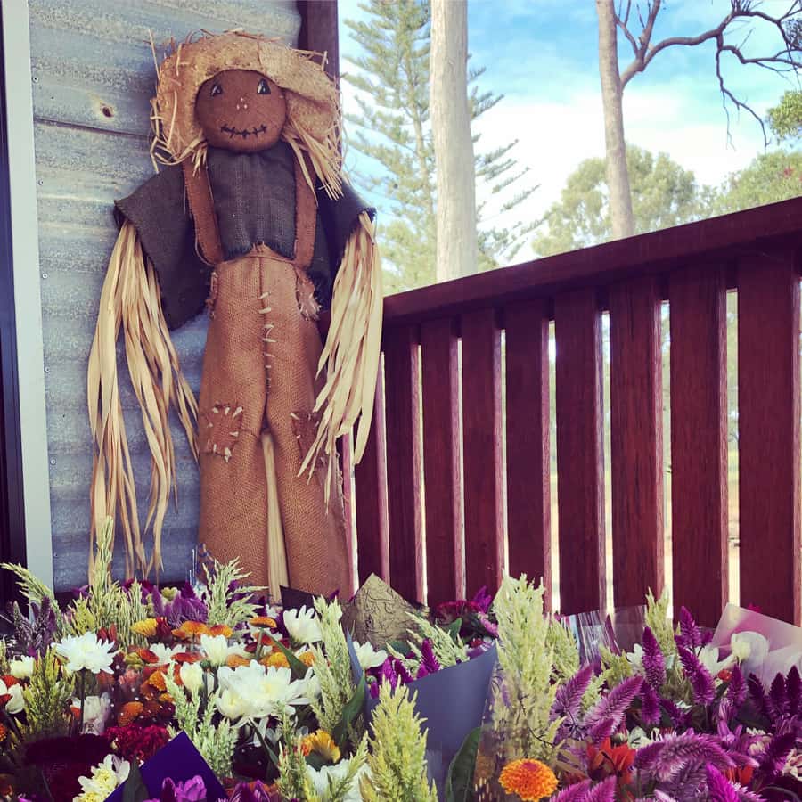 Bundaberg: Family-Friendly Entry Ticket to Splitters Farm - Entering Splitters Farm With a Calm, Animal-First Plan