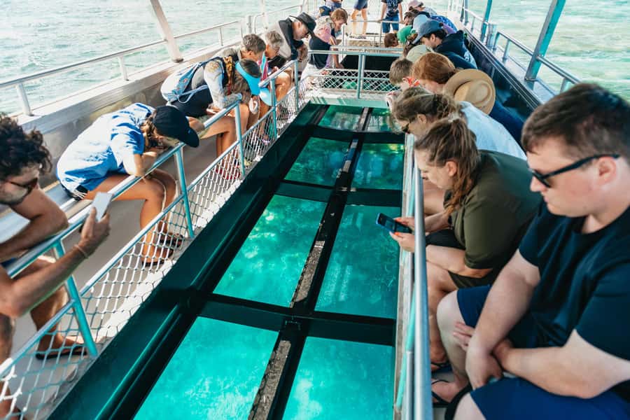 Bundaberg: Lady Musgrave Island and Great Barrier Reef Tour - Key highlights you’ll care about