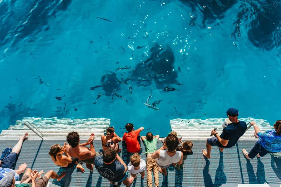 Bundaberg: Lady Musgrave Island and Great Barrier Reef Tour - A 10-hour day that actually feels organized