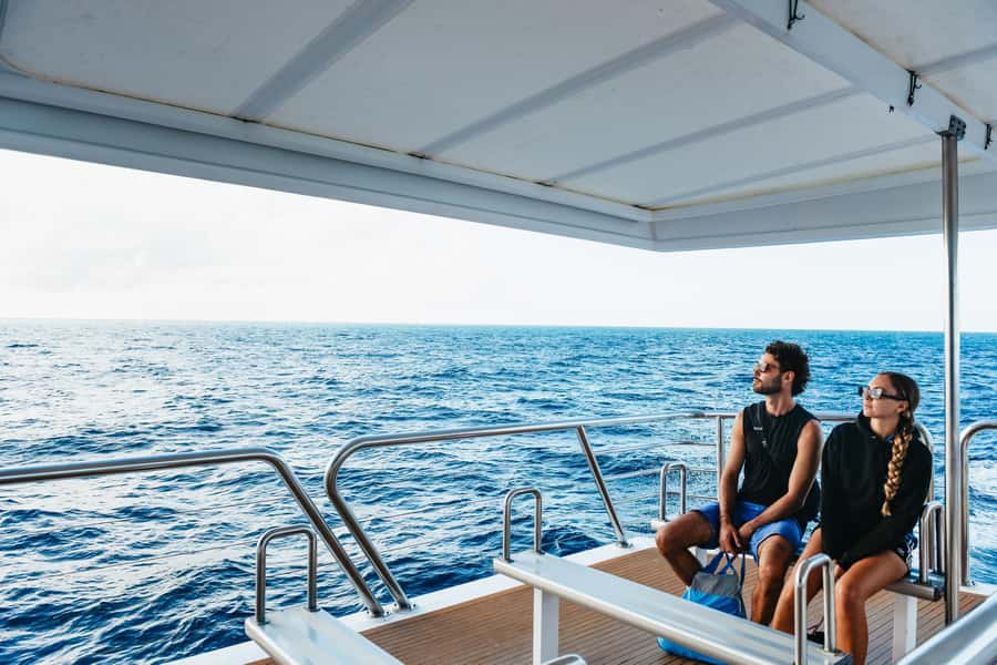 Bundaberg: Lady Musgrave Island and Great Barrier Reef Tour - How to prepare: seasickness, sun safety, and comfort