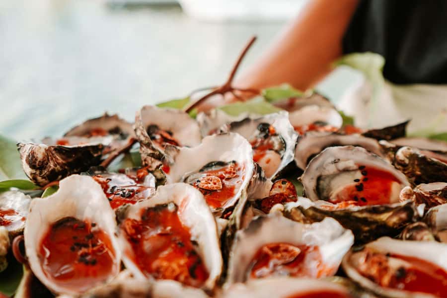Bushtucker Cultural Cruise - Bushtucker on Mooloolaba’s water: what the vibe feels like