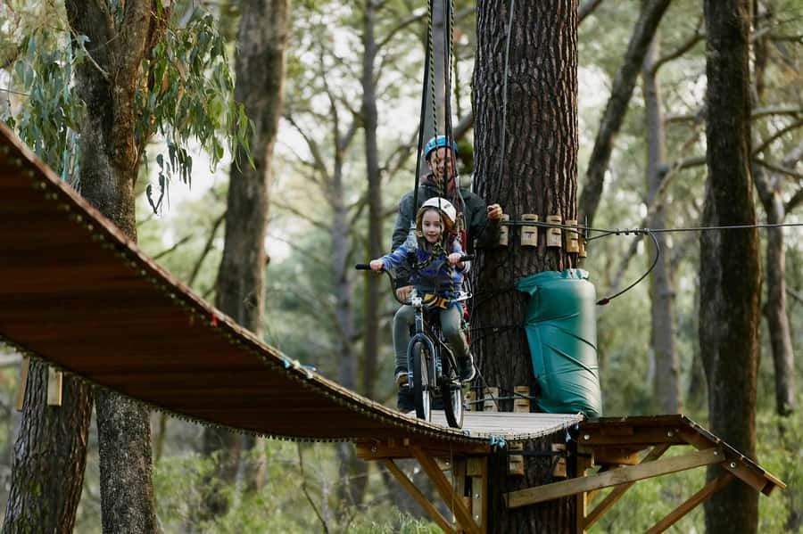 Busselton: Forest Adventure with Zip Lining and Rope Course - Should You Book This Busselton Zip Lining and Rope Course?