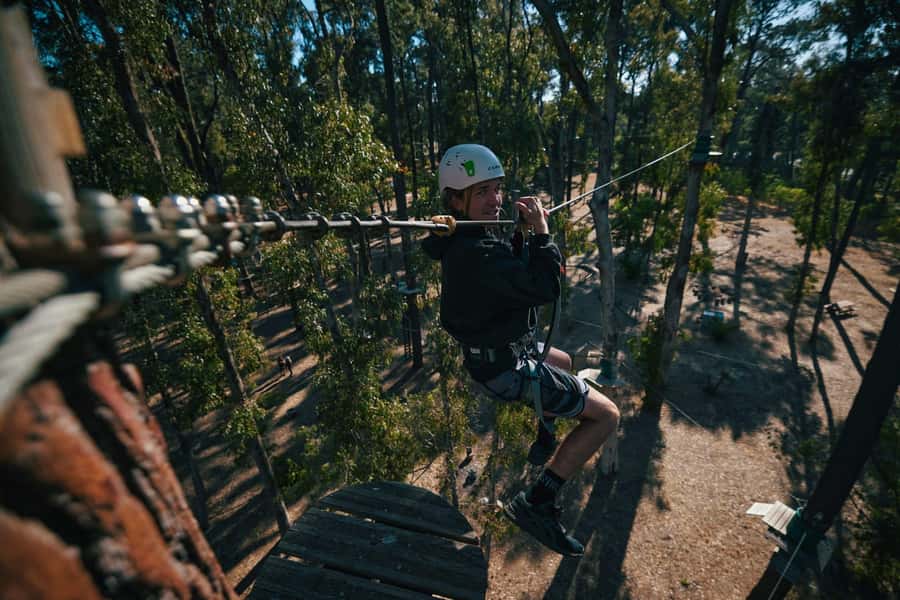 Busselton: Forest Adventure with Zip Lining and Rope Course - Busselton Forest Adventures: Zip Lines and 19m of Go-Wobble Fun