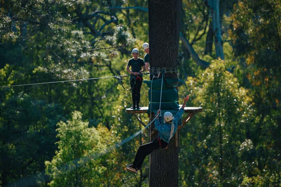 Busselton: Forest Adventure with Zip Lining and Rope Course - Tree-Time Tricks Beyond Zips: BMX, Tarzan Jumps, and Balancing Lines