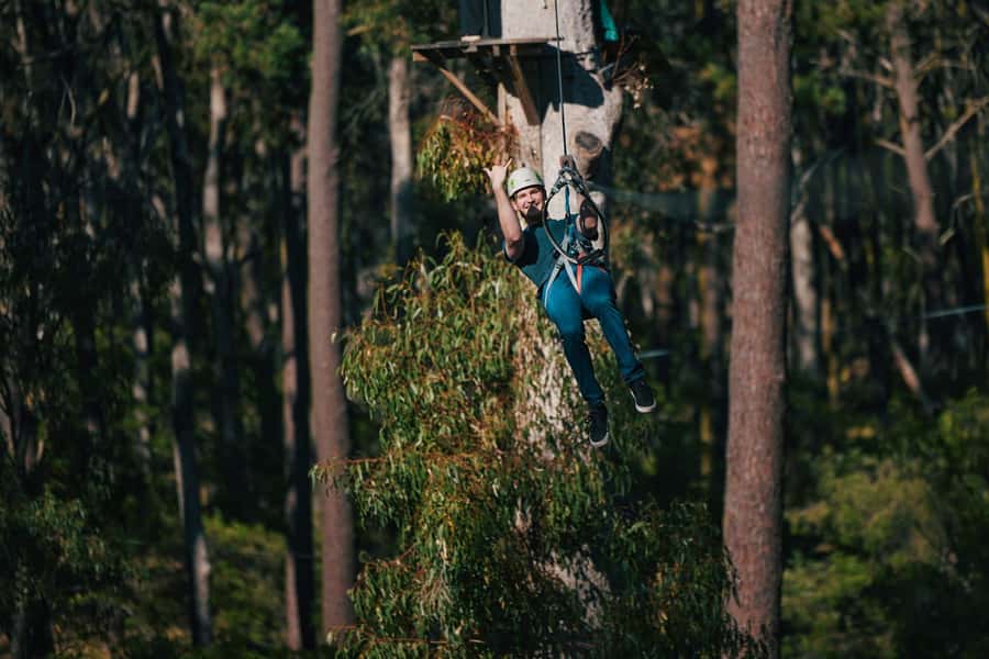 Busselton: Forest Adventure with Zip Lining and Rope Course - Price and Value: Is $41 Worth a 2-Hour Adventure?