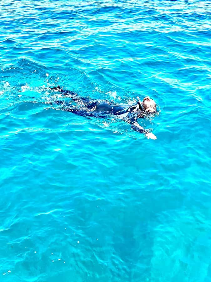 Busselton: Jetty Snorkeling Tour with Underwater Sculptures - Key reasons this snorkel tour is worth your time