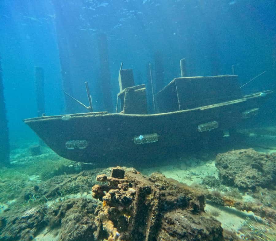 Busselton: Jetty Snorkeling Tour with Underwater Sculptures - Getting in the water: what the guide actually does for you