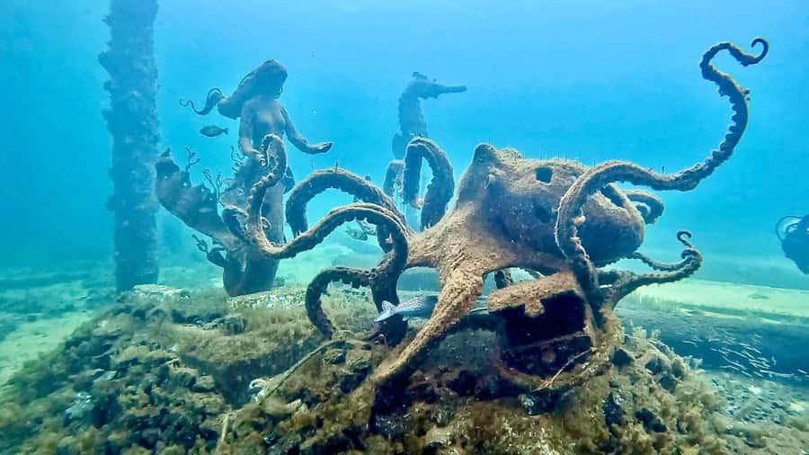 Busselton: Jetty Snorkeling Tour with Underwater Sculptures - The 90-minute plan: from Swan Dive shop to the sculpture trail