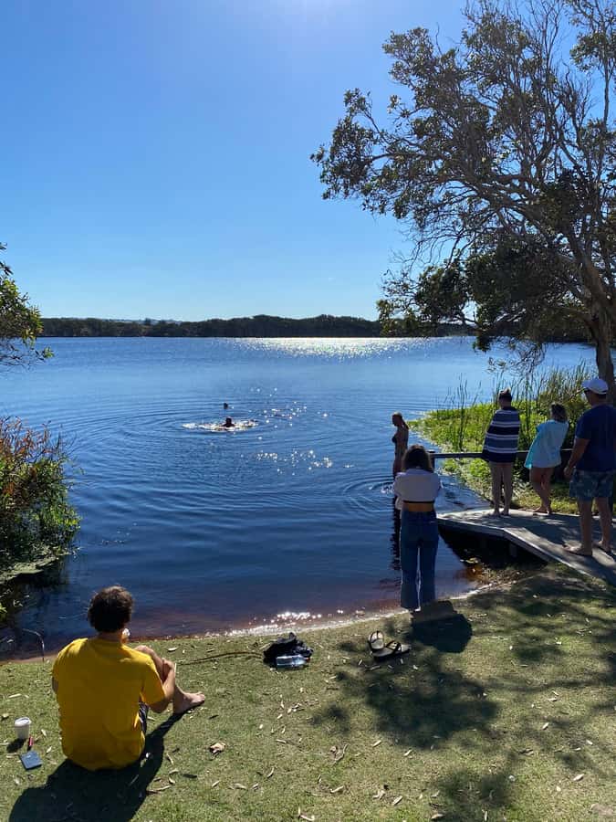 Byron Bay: Behind The Bay Waterfalls & Hidden Gems Day Tour - Killen Falls swim: cool water, rocky spots, and what to do with your time