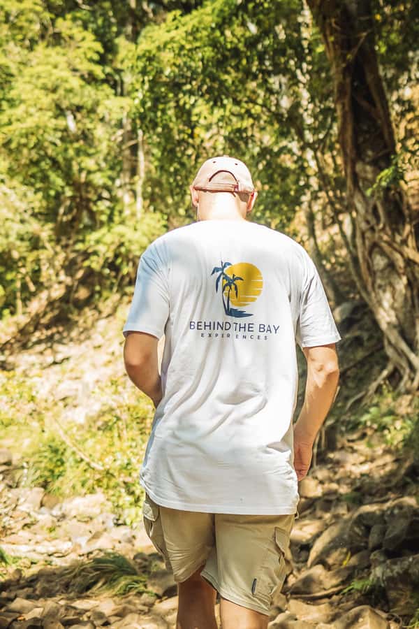 Byron Bay: Behind The Bay Waterfalls & Hidden Gems Day Tour - Lake Ainsworth Ti Tree Lake and SUP: fun water time with a local twist