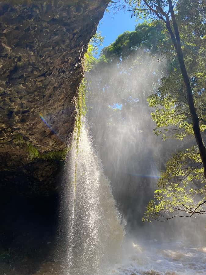 Byron Bay: Behind The Bay Waterfalls & Hidden Gems Day Tour - The 6-hour schedule, and how it should feel in real life