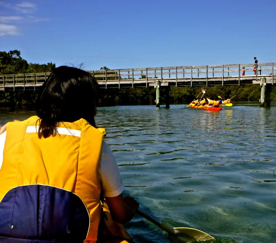 Byron Bay: Brunswick River Scenic Kayak Tour - Your guide experience: what makes the learning click