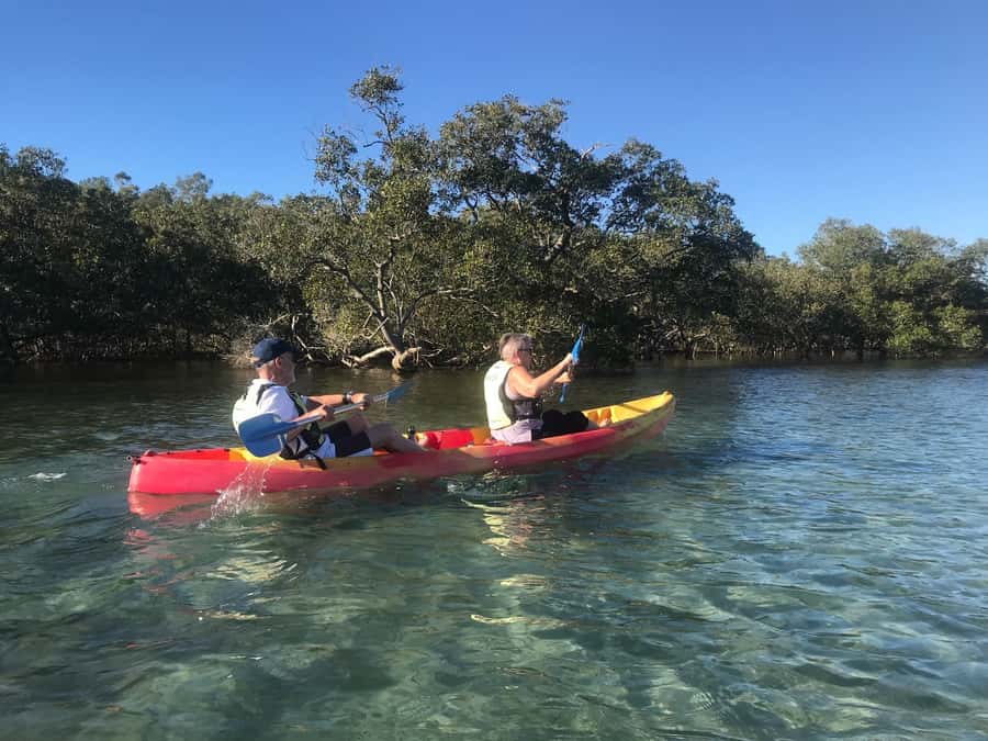 Byron Bay: Brunswick River Scenic Kayak Tour - Price and value: is $42 good for a guided kayak?