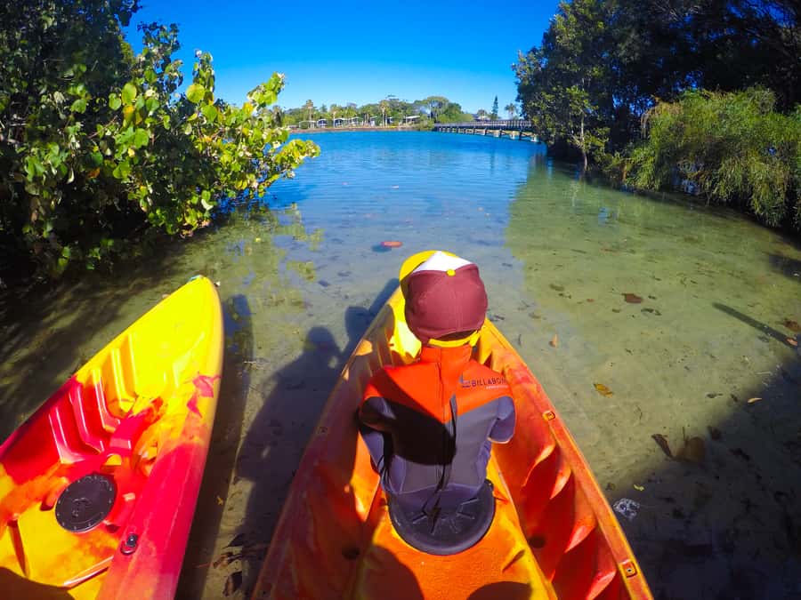 Byron Bay: Brunswick River Scenic Kayak Tour - What to pack: small items that matter on the water