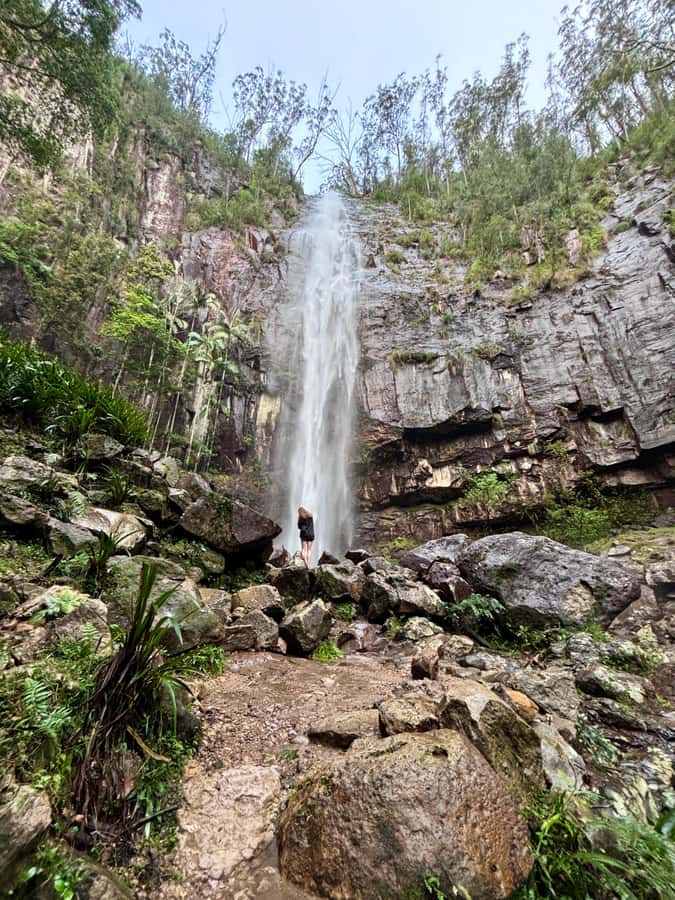 Byron Bay: Glowworms, Waterfalls & Rainforest Experience - Price and what $91 includes (and why it can be good value)