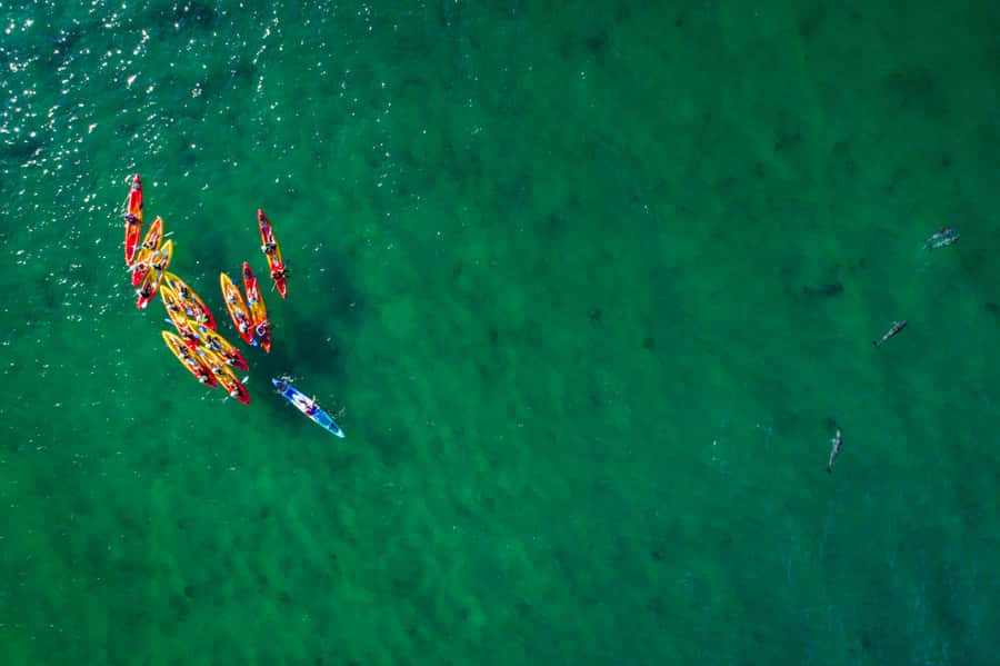 Byron Bay: The Byron Bay Sea Kayak Tour - Should you book the Byron Bay Sea Kayak tour with Go Sea Kayak Byron Bay?