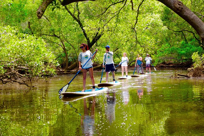 Byron Stand Up Paddle Nature Tour - Brunswick River SUP in Cape Byron Marine Park: what the tour feels like
