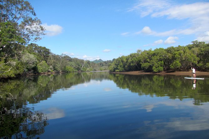 Byron Stand Up Paddle Nature Tour - Heading down the Brunswick River: pacing, wildlife, and the tree tunnel