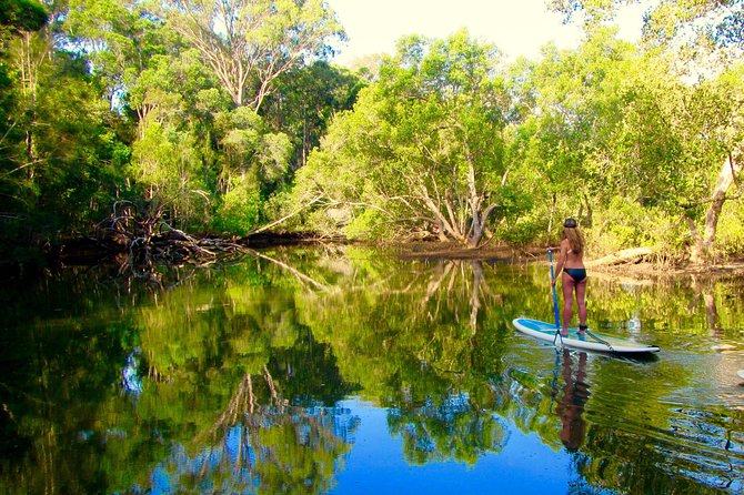 Byron Stand Up Paddle Nature Tour - What happens after you paddle: cold water, snacks, and turning it into a full Byron day